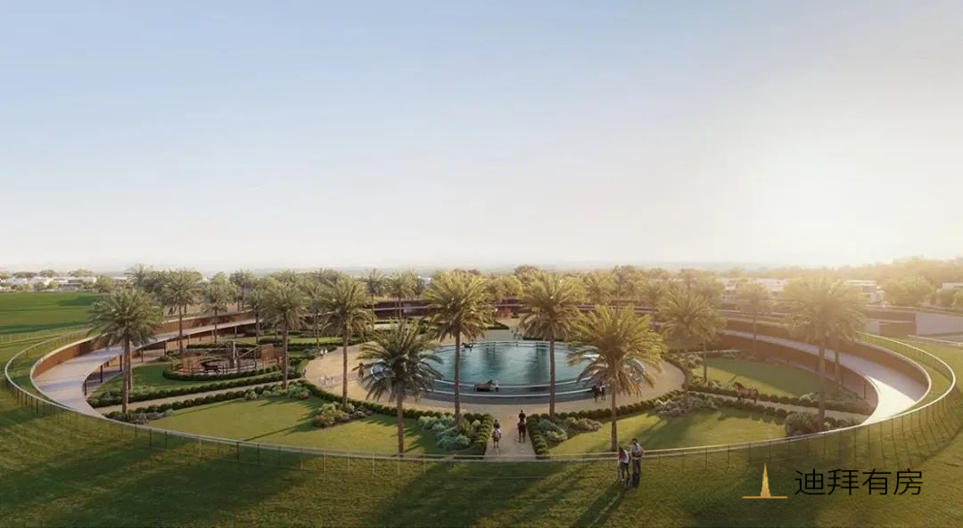 迪拜南部 Top 投资|Grand Polo|Emaar首个马球别墅社区重磅登场!