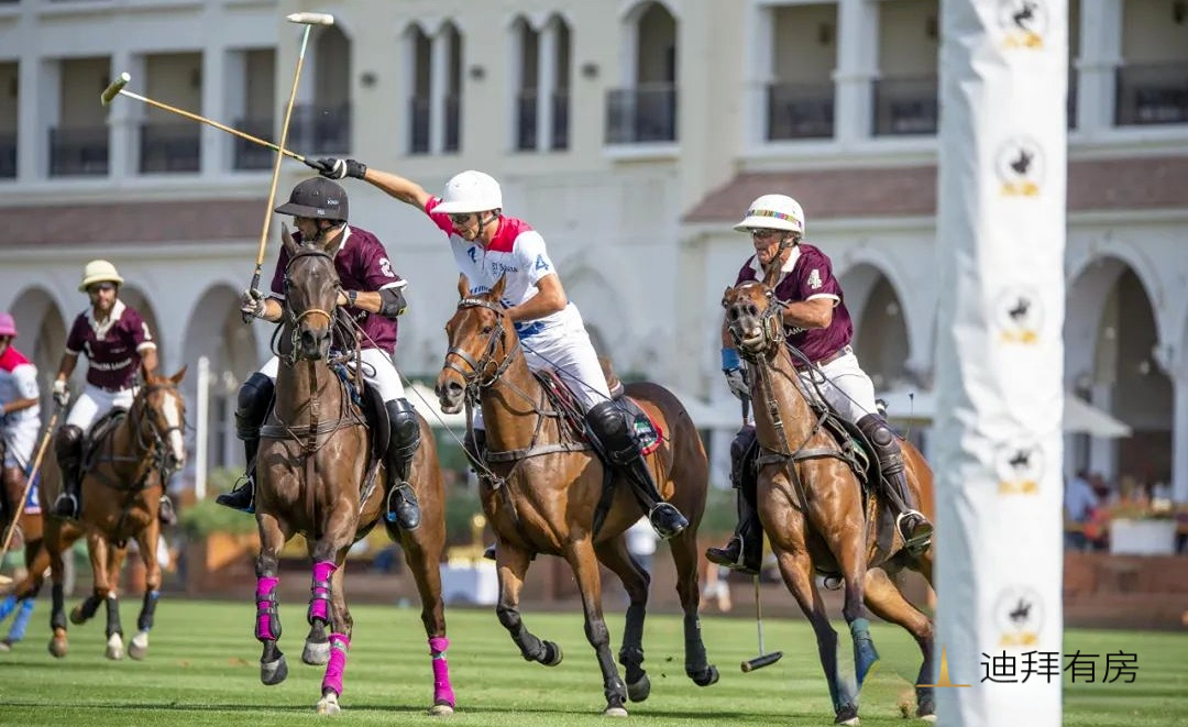 迪拜南部 Top 投资|Grand Polo|Emaar首个马球别墅社区重磅登场!